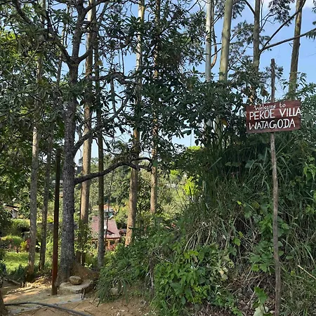 Pekoe Villa Watagoda Matagoda Exterior photo