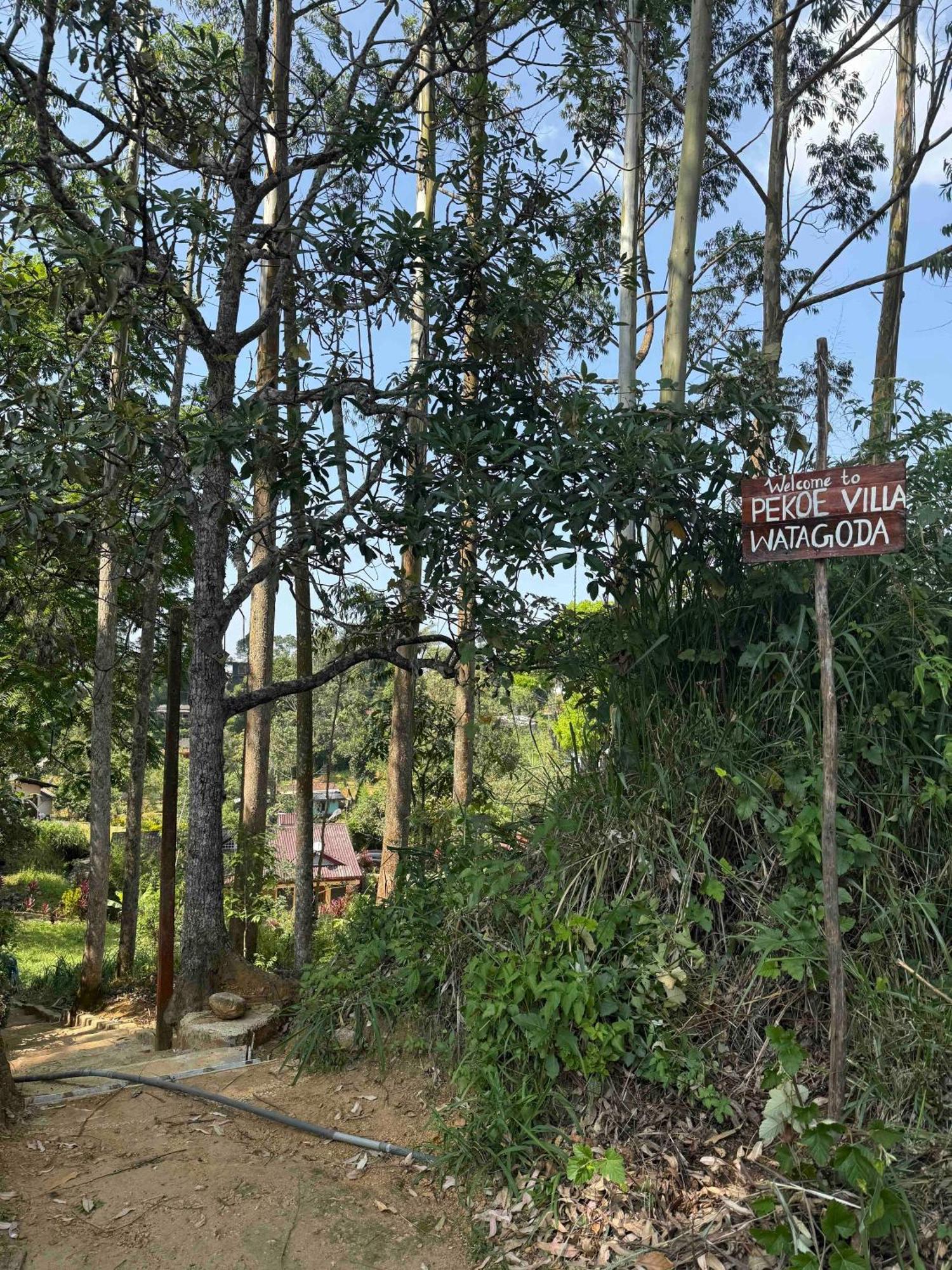 Homestay Pekoe Watagoda *
