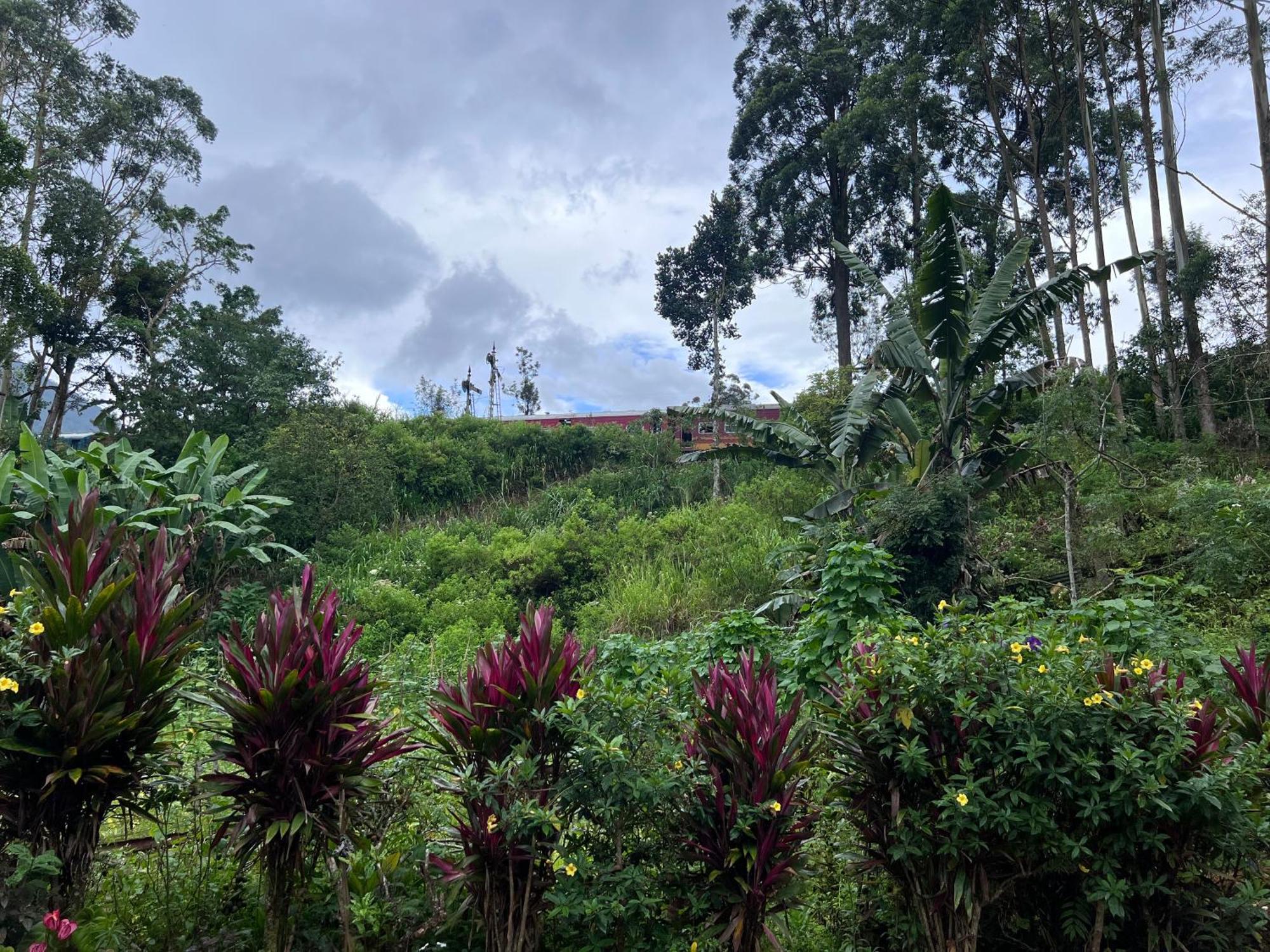 Homestay Pekoe Watagoda Matagoda